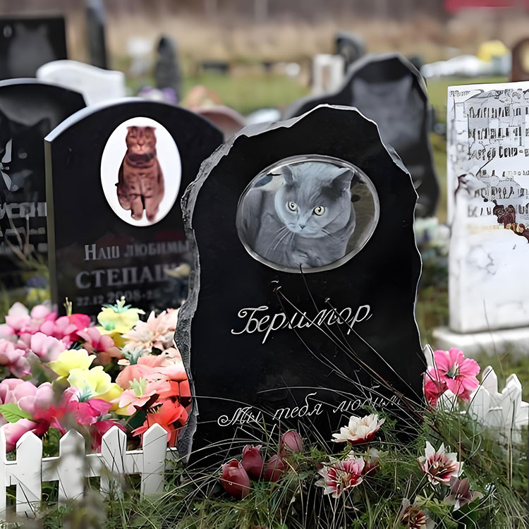 چه گزینه های سفارشی سازی پلاک های یادبود حیوان خانگی را فراتر از نامهای اساسی بالا می برد؟